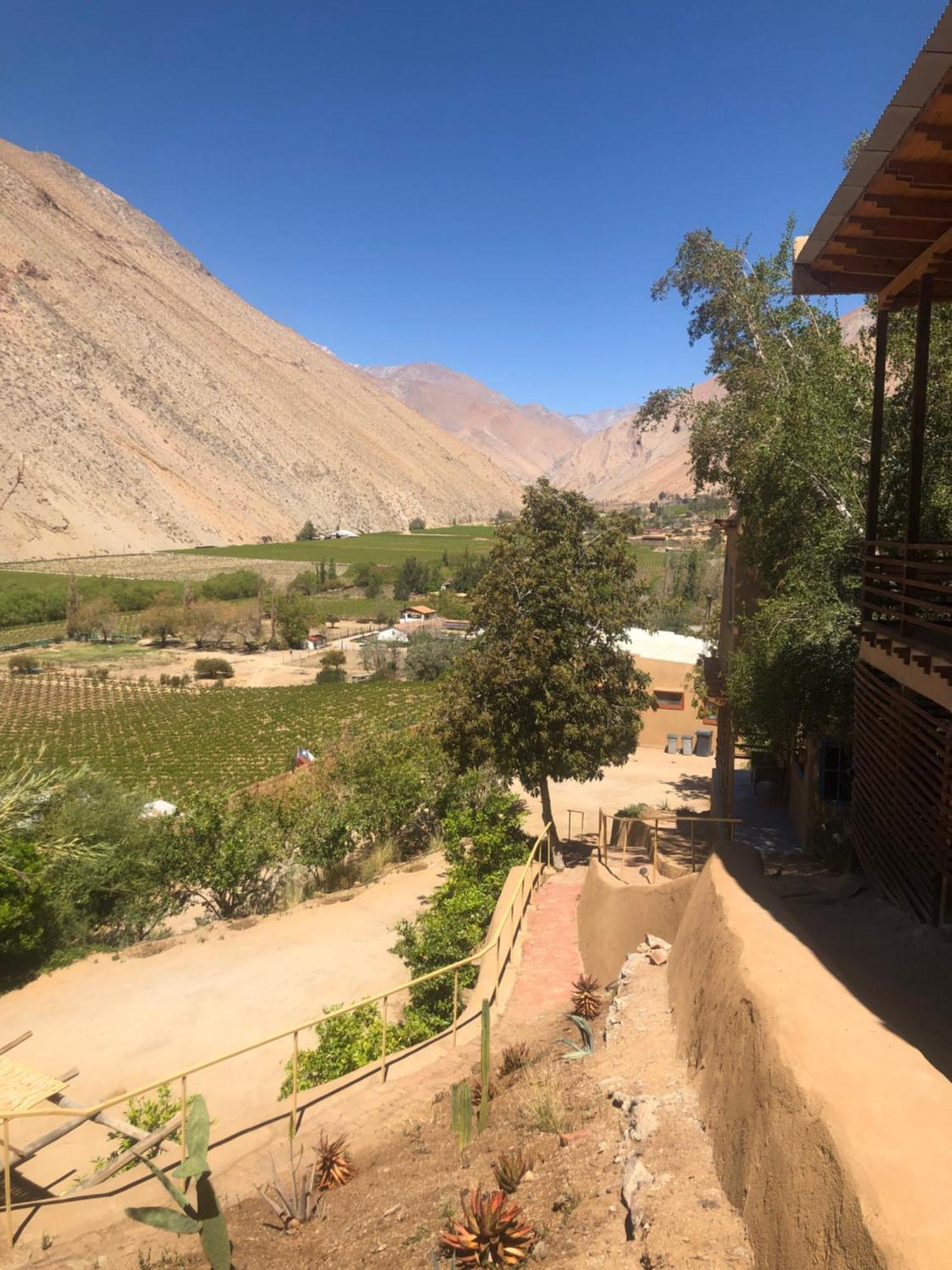 Cabanas Elquimista Pisco Elqui Dış mekan fotoğraf