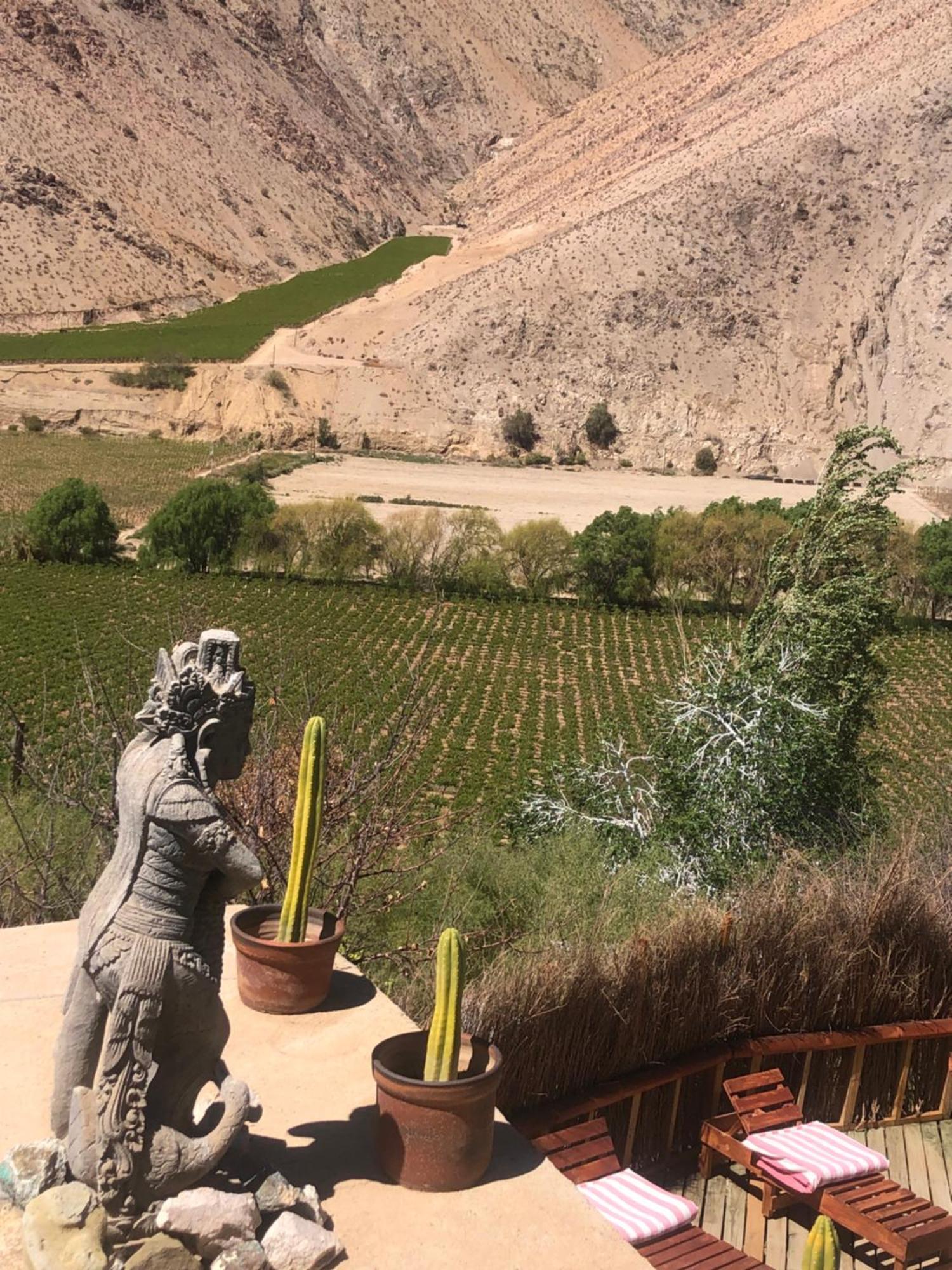 Cabanas Elquimista Pisco Elqui Dış mekan fotoğraf