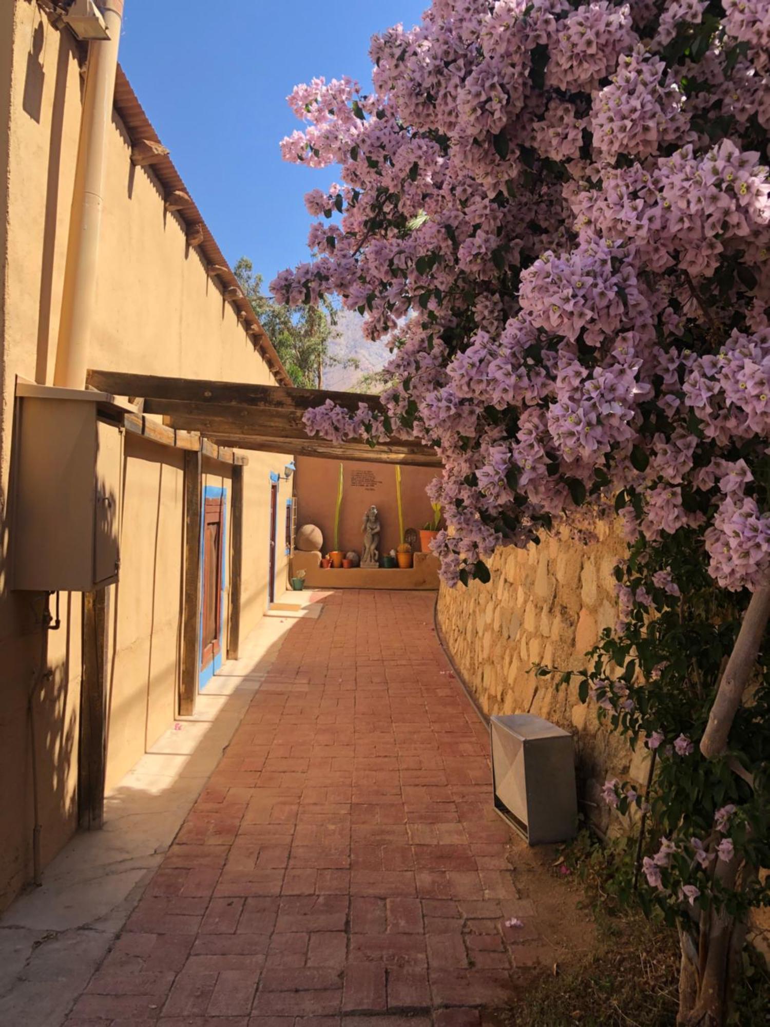 Cabanas Elquimista Pisco Elqui Dış mekan fotoğraf