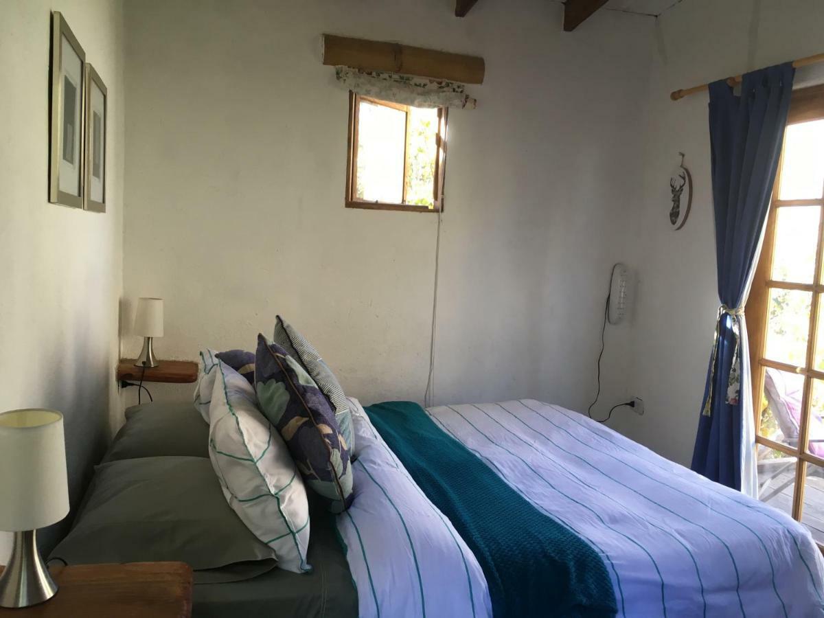 Cabanas Elquimista Pisco Elqui Dış mekan fotoğraf